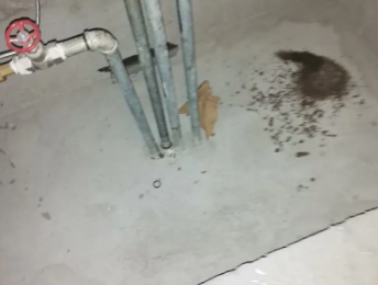 德惠卫生间测漏水价格明细